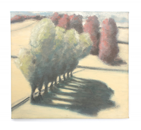 Trees 2021, oil on canvas, 40 x 38cm